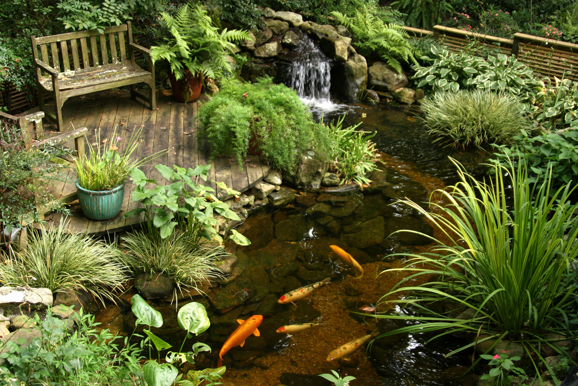 Small Backyard Fish Pond Ideas