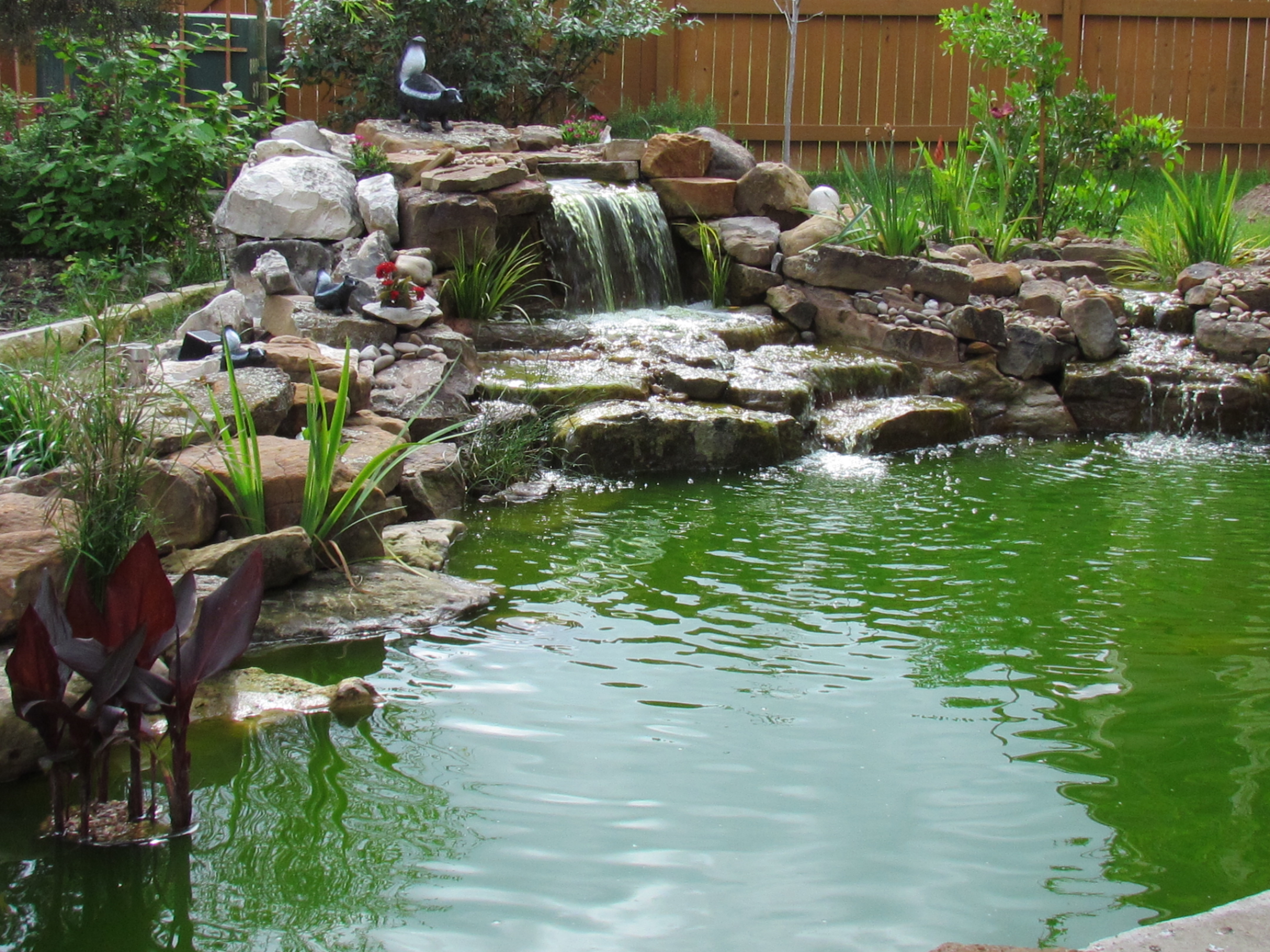Comment maintenir l'eau claire d'un étang de jardin