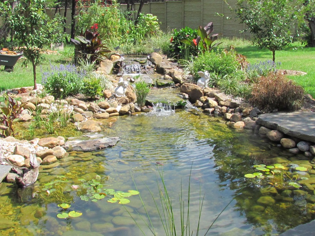 Ponds And Pondless Water Features For Sale - The Pond Doctor | The Pond ...