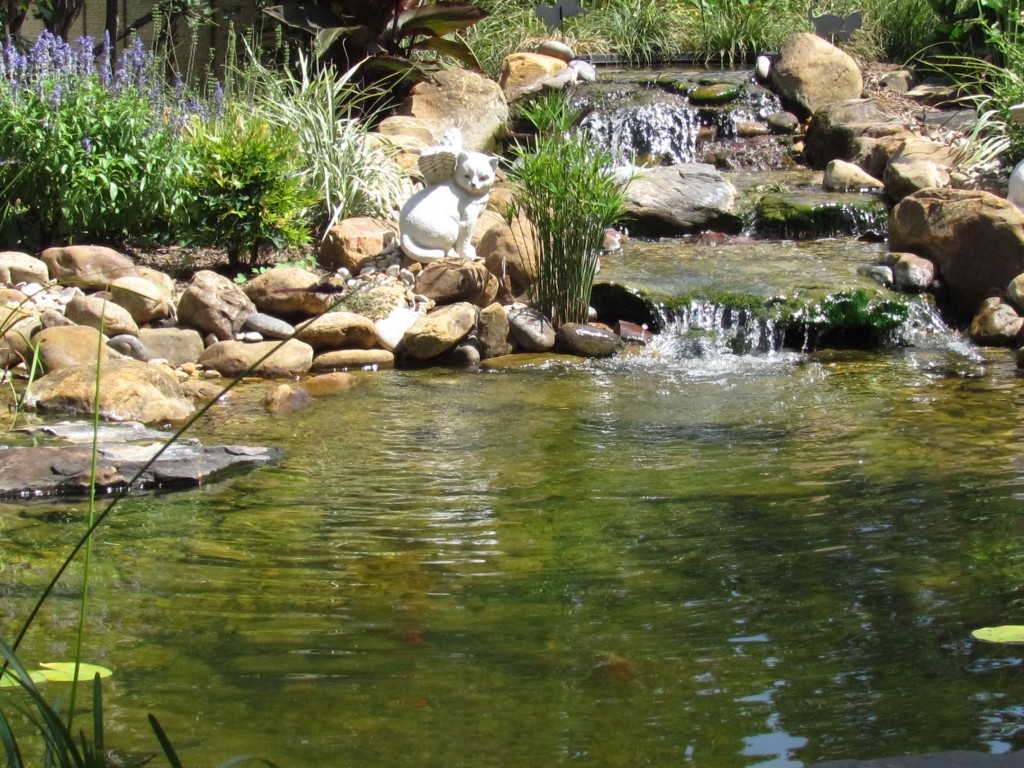 Ponds And Pondless Water Features For Sale - The Pond Doctor | The Pond ...