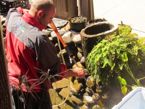 pond cleaning austin texas