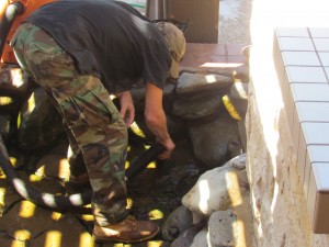 pond cleaning austin texas