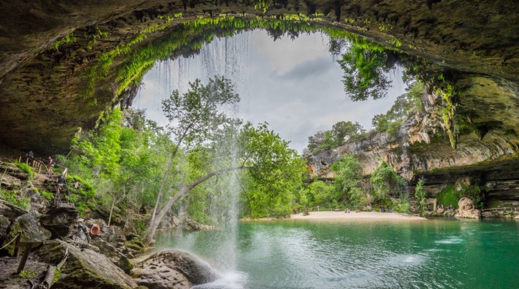 Natural Swimming Ponds - The Pond Doctor | The Pond Doctor